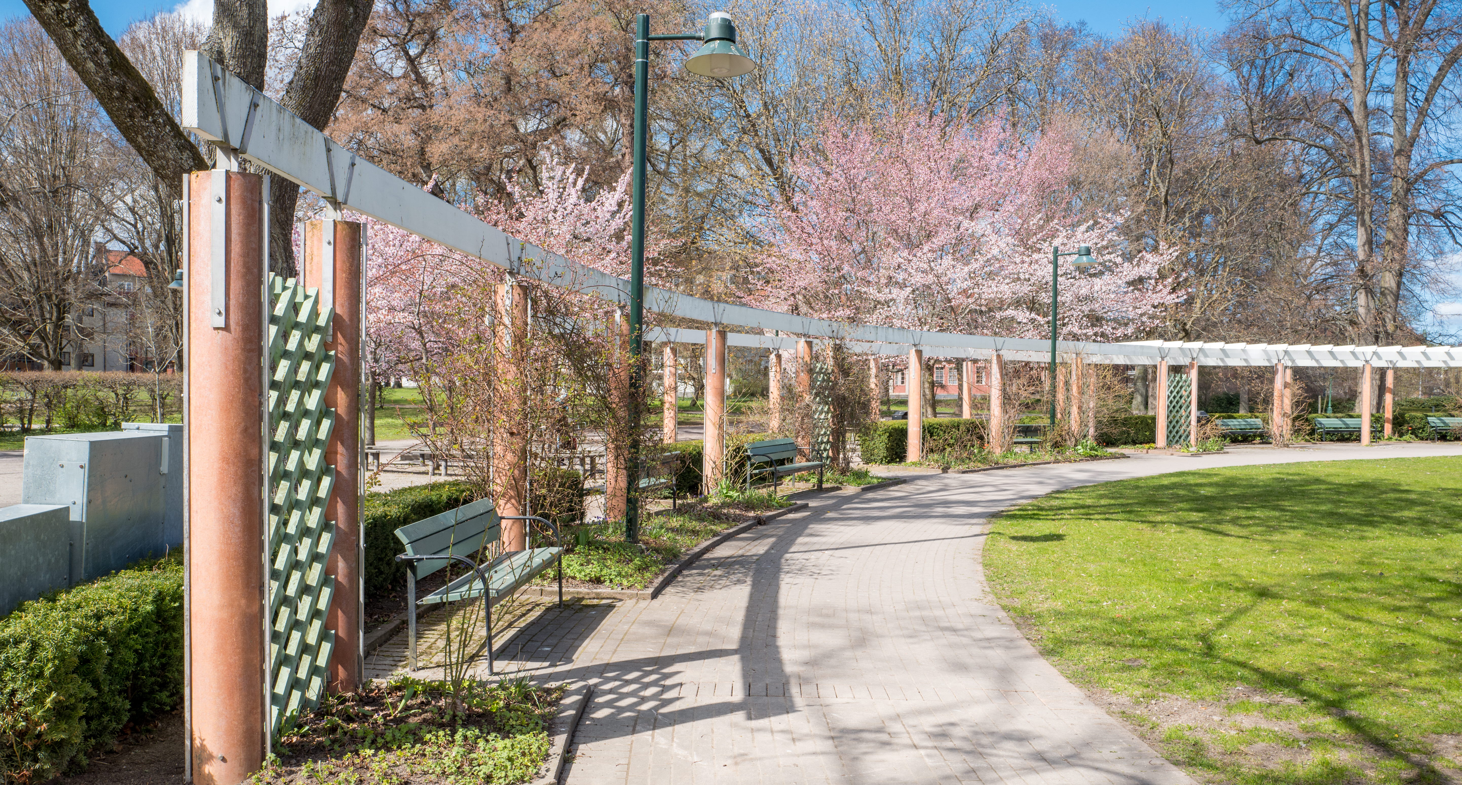 Linköpings trädgårdsförening. Foto.